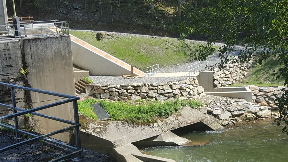 Fischaufstieg KW See, Anlage